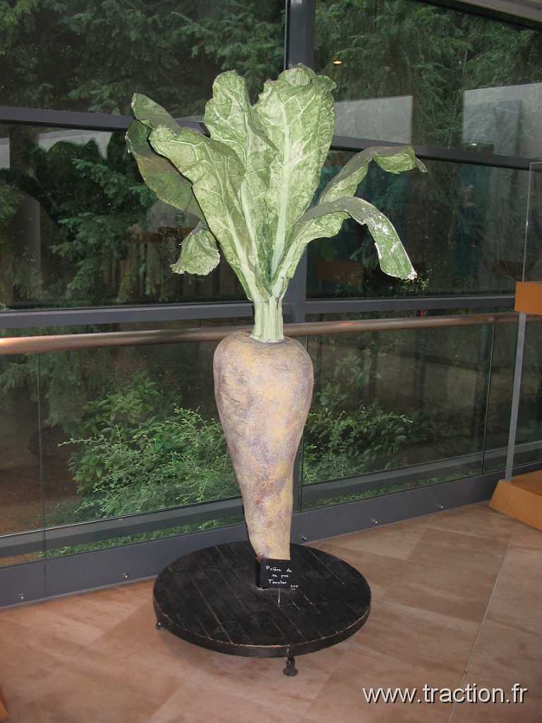 2010_Lesquin (184).JPG